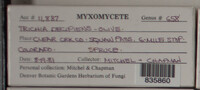 Image Associated With the Occurence
